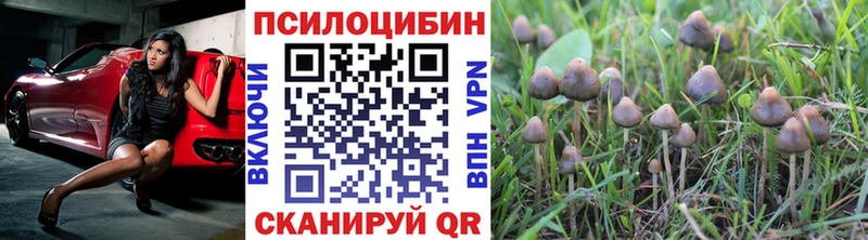 Галлюциногенные грибы Cubensis  даркнет сайт  Усмань 